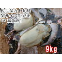 送料無料　Mサイズ 産地直送　佐世保九十九島 岩がき9kg（38個前後）UV滅菌処理済み 殻付き　岩牡蠣　岩ガキ　生食用…