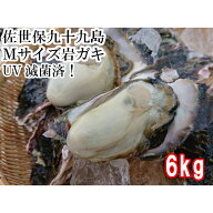 【送料無料】※Mサイズ　※ 産地直送　佐世保九十九島 岩がき6kg（24個前後）UV滅菌処理済み 殻付き　岩…
