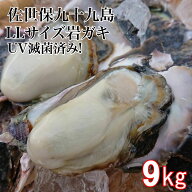 送料無料　【破格値】　 LLサイズ 産地直送　佐世保九十九島 岩牡蠣 9kg（22個前後）UV滅菌処理済み 旬　…