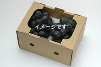 【送料無料】★当日朝取り★山梨の農家直送!珍しい品種ぶどう詰合せ1Kg【サマーブラック×ブラックビート】☆贈答用にもおすすめ☆