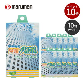 【禁煙パイポ】 禁煙グッズ 使い切り 禁煙パイポ ペパーミント味 3本入り 10個セット マルマン 公式 煙が出ない 使い捨て 禁煙 グッズ 健康グッズ 電子パイポ 本体 持ち運び PAIPO フレーバー コンパクト 禁煙サポート 離煙 ニコチン0