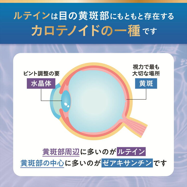 楽天市場】【ルテイン サプリ】 ルテイン120ゼアキサンチン サプリ 