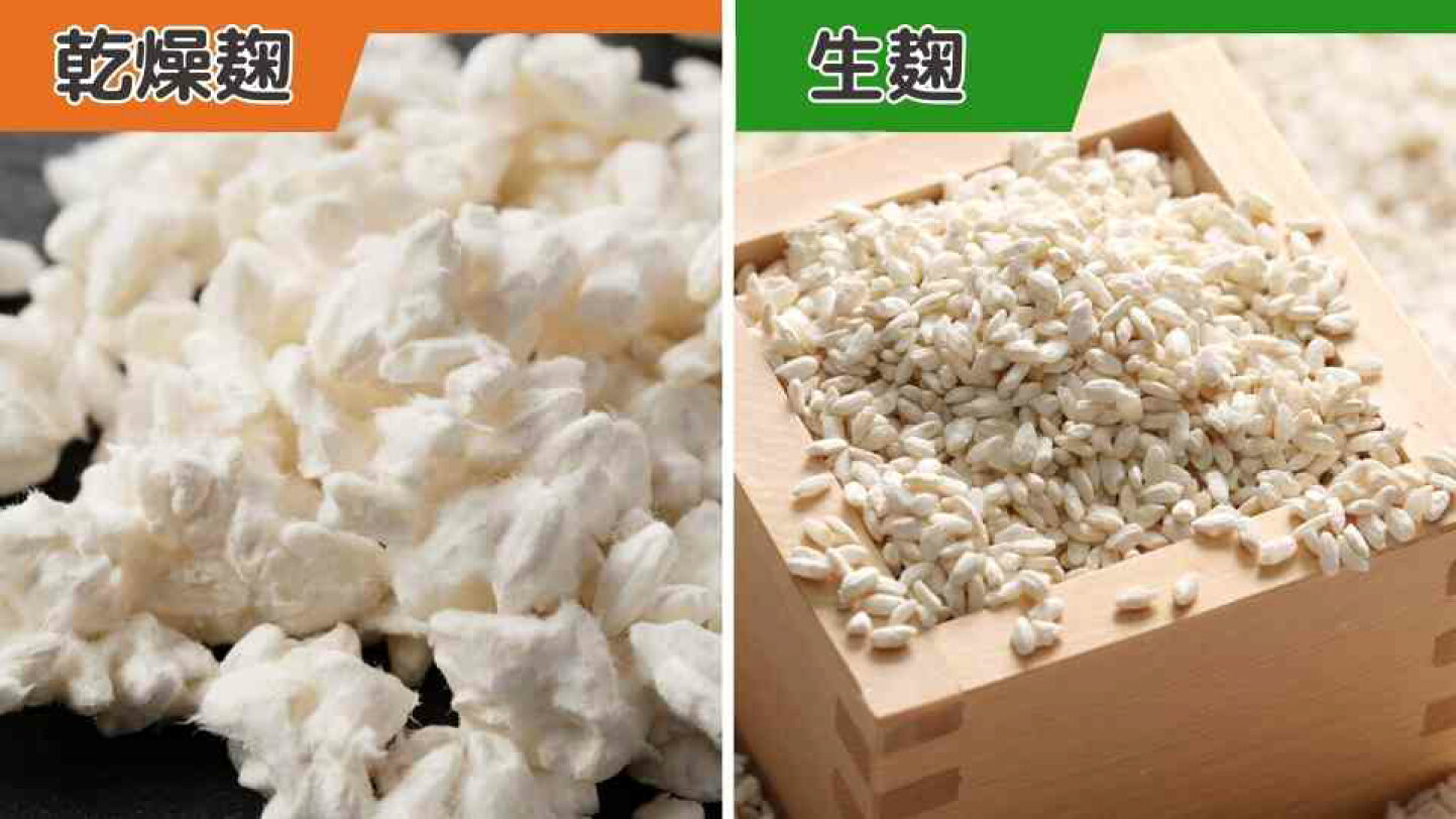 生 麹 乾燥 麹 違い