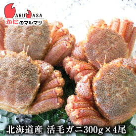 活毛がに(300g×4尾)セット あす楽 毛蟹 毛ガニ カニ通販 道産品 お取り寄せ ギフト 北海道産