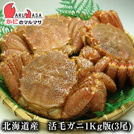 毛がに(1kg詰め 3尾)セット 翌日便 北海道産 毛がに 毛蟹 毛ガニ かに カニ 蟹 カニ通販 お取り寄せ通販 道産品 厳選素材 お土産 プレゼント 贈り物 お歳暮 ギフト