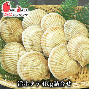 活ホタテ貝4kg 詰め合わせセット 海産物 北海道産 国産 お取り寄せ通販 道産品 厳選素材 お土産 プレゼント 贈り物 お取り寄せ ギフト