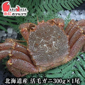 活毛がに(300g×1尾)セット 翌日便 北海道産 毛がに 毛蟹 毛ガニ かに カニ 蟹 カニ通販 お取り寄せ通販 道産品 厳選素材 お土産 プレゼント 贈り物 お歳暮 ギフト