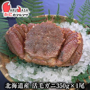 т(350g×1)Zbg  kCY т ъI уKj  Jj I Jjʔ 񂹒ʔ Yi If yY v[g 蕨  Mtg
