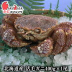 活毛がに(400g×1尾)セット あす楽 毛蟹 毛ガニ カニ通販 道産品 お取り寄せ ギフト 北海道産