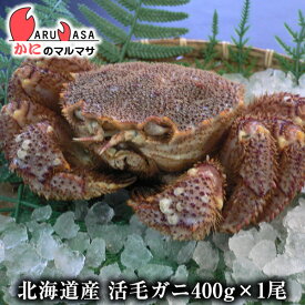 活毛がに(400g×1尾)セット 翌日便 北海道産 毛がに 毛蟹 毛ガニ かに カニ 蟹 カニ通販 お取り寄せ通販 道産品 厳選素材 お土産 プレゼント 贈り物 お歳暮 ギフト