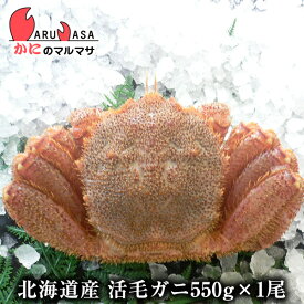 活毛がに(550g×1尾)セット あす楽 毛蟹 毛ガニ カニ通販 道産品 お取り寄せ ギフト 北海道産