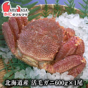 т(600g×1)Zbg ֑ΉkC kCY т ъI уKj  Jj I Jjʔ 񂹒ʔ Yi If yY v[g 蕨  Mtg