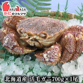 活毛がに(700g×1尾)セット あす楽 毛蟹 毛ガニ カニ通販 道産品 お取り寄せ ギフト 北海道産 特大