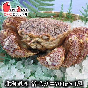 т(700g×1)Zbg  kCY т ъI уKj  Jj I Jjʔ  񂹒ʔ Yi If yY v[g 蕨  Mtg