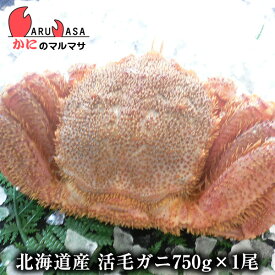 活毛がに(750g×1尾)セット あす楽対応北海道毛蟹 毛ガニ カニ通販 道産品 母の日 ギフト 北海道産