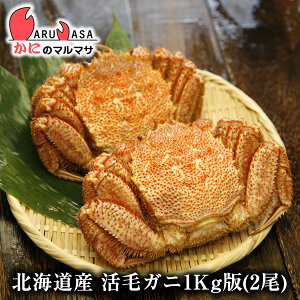 т(1kgl 2)Zbg  kCY т ъI уKj  Jj I Jjʔ 񂹒ʔ Yi If yY v[g 蕨 Ε Mtg