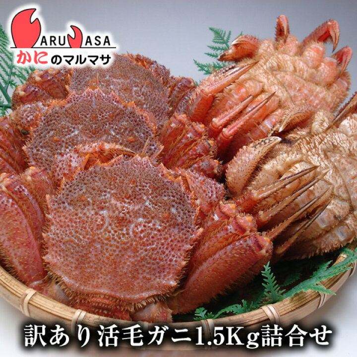楽天市場 訳あり活毛がに 1 5kgセット あす楽 毛蟹 毛ガニ カニ通販 道産品 北海道産 かにのマルマサ 北海道