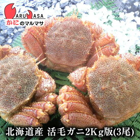 活毛がに(2kg詰め 3尾)セット 翌日便 北海道産 毛がに 毛蟹 毛ガニ かに カニ 蟹 カニ通販 お取り寄せ通販 道産品 厳選素材 お土産 プレゼント 贈り物 お歳暮 ギフト