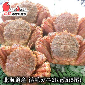 楽天市場 活毛ガニの通販