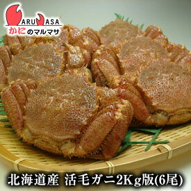 活毛がに(2kg詰め 6尾)セット 翌日便 北海道産 毛がに 毛蟹 毛ガニ かに カニ 蟹 カニ通販 お取り寄せ通販 道産品 厳選素材 お土産 プレゼント 贈り物 お歳暮 ギフト