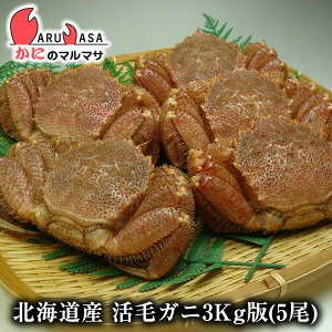 味噌 3kg カニの人気商品 通販 価格比較 価格 Com 味噌 3kg カニの人気商品 通販 価格比較 価格 Com