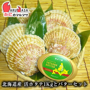 z^eL1kg to^[1 CY kCY Y 񂹒ʔ Yi If yY v[g 蕨  Mtg
