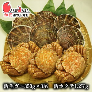 т 350g×3 قĊL1.2kgZbg(CNZbgF) L kCY т ъI уKj  Jj I Jjʔ 񂹒ʔ Yi If yY v[g 蕨 