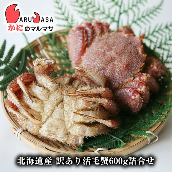 楽天市場 訳あり活毛がに 2尾で600gセット あす楽 毛蟹 毛ガニ カニ通販 道産品 北海道産 かにのマルマサ 北海道
