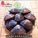 活ホッキ貝 2kg詰め（6〜8個入）翌日便 海産物 北海道産 お取り寄せ通販 道産品 厳選素材 お土産 プレゼント 贈り物 残暑見舞い ギフト