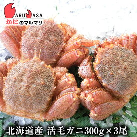 活毛がに(300g×3尾)セット あす楽 毛蟹 毛ガニ カニ通販 道産品 父の日 ギフト 北海道産