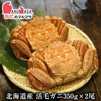 楽天市場】ダルマ 毛ガニの通販 