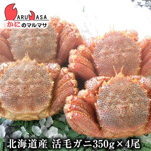 т(350g×4)Zbg ֑ΉkC kCY т ъI уKj  Jj I Jjʔ 񂹒ʔ Yi If yY v[g 蕨  Mtg