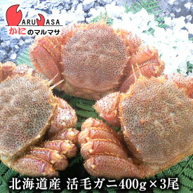 活毛がに(400g×3尾)セット あす楽 毛蟹 毛ガニ カニ通販 道産品 お取り寄せ ギフト 北海道産