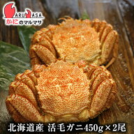 活毛がに 450g×2尾セット 翌日便対応 北海道産 毛がに 毛蟹 毛ガニ かに カニ 蟹 カニ通販 道産品 厳選…