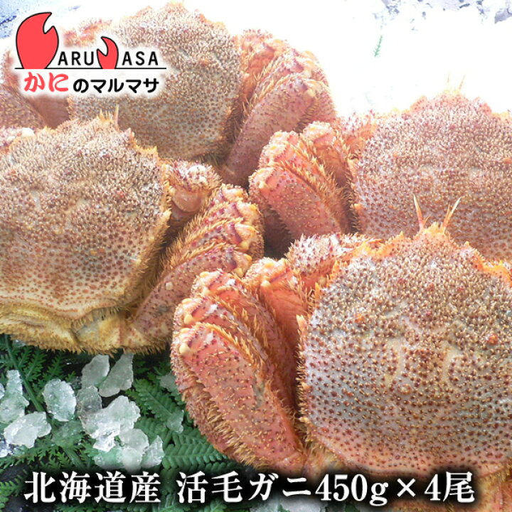 楽天市場 活毛がに 450g 4尾 セット あす楽 毛蟹 毛ガニ カニ通販 道産品 お取り寄せ ギフト 北海道産 かにのマルマサ 北海道
