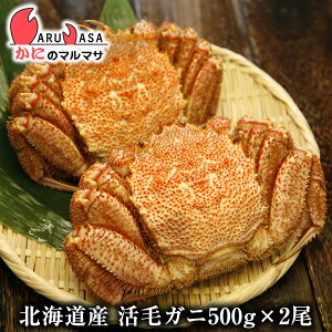 活毛がに(500g×2尾)セット 翌日便対応北海道 北海道産 毛がに 毛蟹 毛ガニ かに カニ 蟹 カニ通販 お取り寄せ通販 道産品 厳選素材 お土産 プレゼント 贈り物 お取り寄せ ギフト