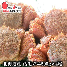 活毛がに(500g×4尾)セット あす楽 毛蟹 毛ガニ カニ通販 道産品 母の日 ギフト 北海道産