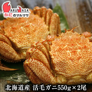 т(550g×2)Zbg ֑ΉkC kCY т ъI уKj  Jj I Jjʔ 񂹒ʔ Yi If yY v[g 蕨  Mtg