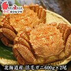 活毛がに(600g×2尾)セット あす楽 毛蟹 毛ガニ カニ通販 道産品 お取り寄せ ギフト 北海道産