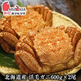 活毛がに(600g×2尾)セット 翌日便 北海道産 毛がに 毛蟹 毛ガニ かに カニ 蟹 カニ通販 お取り寄せ通販 道産品 厳選素材 お土産 プレゼント 贈り物 お歳暮 ギフト