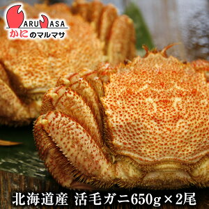 北海道産 活毛がに(650g×2尾)セット 楽天ランキング入賞毛カニ部門ランクイン!!あす楽 毛蟹 毛ガニ カニ通販 道産品 お取り寄せ ギフト