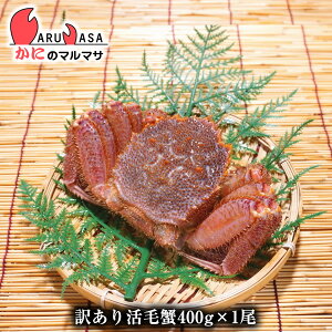 訳あり 活 毛ガニの人気商品 通販 価格比較 価格 Com 訳あり 活 毛ガニの人気商品 通販 価格比較 価格 Com