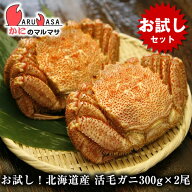 【お試しセット】活毛がに 300g×2尾セット お一人様1回限り お得なトライアルセット 送料無料 翌日便対…