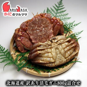 訳あり 活 毛ガニの人気商品 通販 価格比較 価格 Com 訳あり 活 毛ガニの人気商品 通販 価格比較 価格 Com
