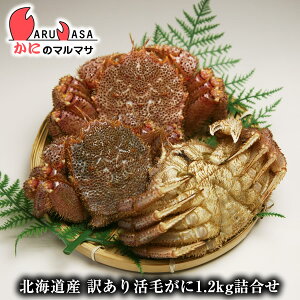 訳あり 活 毛ガニの人気商品 通販 価格比較 価格 Com