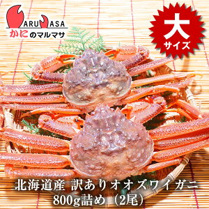 y|Cg5{z󂠂  IIYCKj 800gl߁i2jZbg ֑ΉkC YCKj 킢 Jjʔ kCY 񂹒ʔ Yi If yY v[g 