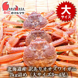 訳あり 活 オオズワイ蟹 2kg詰め（3〜4尾入り）セット 翌日便対応北海道 活ズワイガニ 活ずわいがに カニ通販 北海道産 お取り寄せ通販 道産品 厳選素材 お土産 プレゼント 贈り物 お取り寄せ ギフト