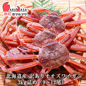 󂠂  IIYCI 3kgl߁i9`12jZbg ֑ΉkC YCKj 킢 Jjʔ kCY 񂹒ʔ Yi If yY v[g 蕨 