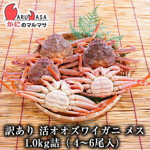 yʌz󂠂  IIYCKjij X 1.0kgli 4`6jZbg zΉkC YCKj 킢 Jjʔ kCY 񂹒ʔ Yi If yY v