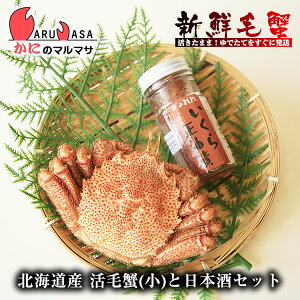 т350g×1 ݖ×1{Zbg kCY т ъI уKj  Jj I Jjʔ 񂹒ʔ Yi If yY v[g 蕨  Mtg